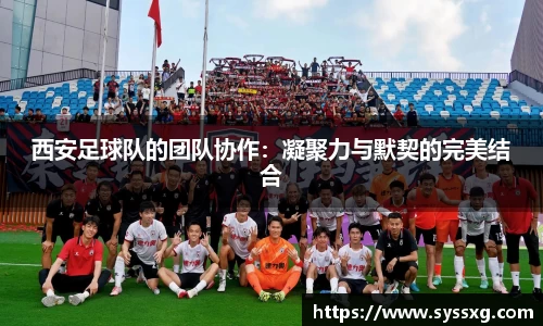 西安足球队的团队协作:凝聚力与默契的完美结合